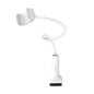 Borofone BH23 Bright Shell Series Mobile Phone Stand